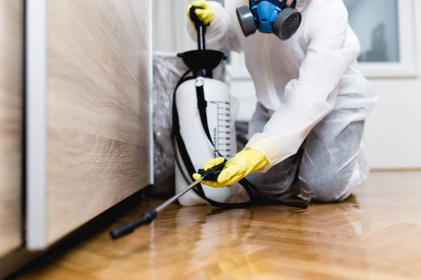 Best Pest Control Near Me  in Rochester, NY