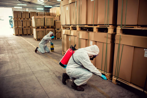 Best Pest Prevention Services  in Rochester, NY