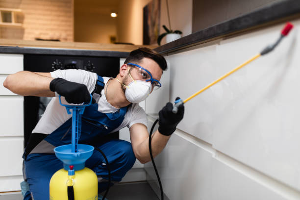 Best Pest Control for Homes  in Rochester, NY