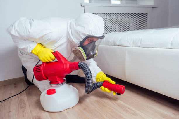 Best Affordable Pest Control Services  in Rochester, NY
