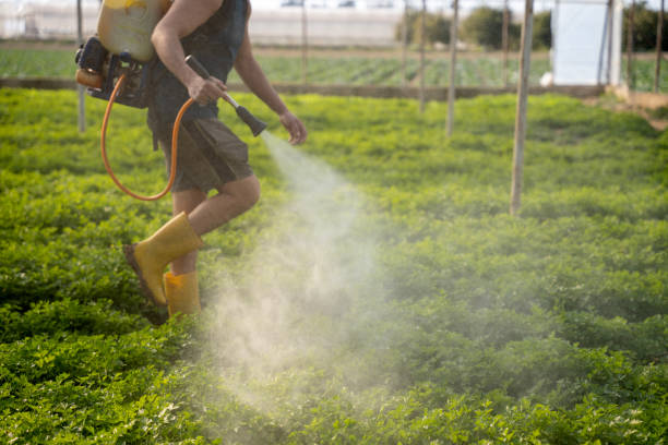 Best Best Pest Control Companies  in Rochester, NY