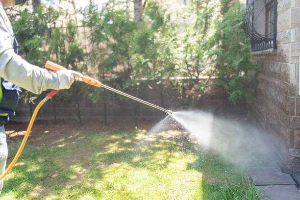 Reliable Rochester, NY Pest Control Solutions