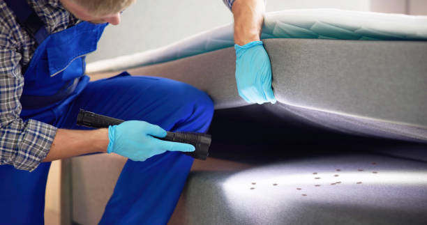 Best Best Pest Control Companies  in Rochester, NY
