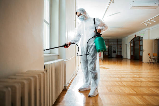 Best Termite Control Services  in Rochester, NY