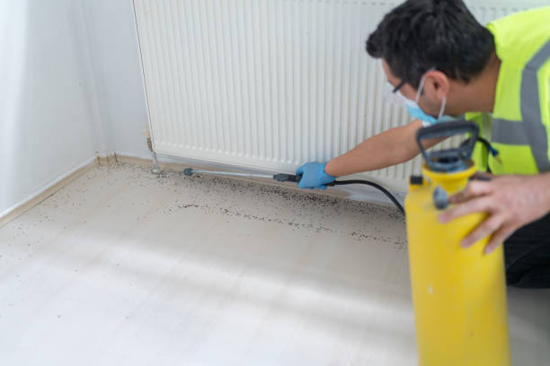 Best Affordable Pest Control Services  in Rochester, NY