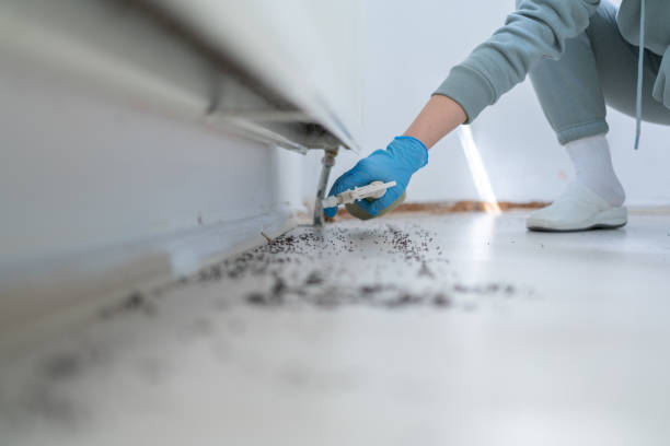 Best Pest Control Near Me  in Rochester, NY